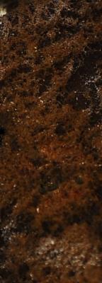 Прикрепленное изображение: 0894cr.jpg